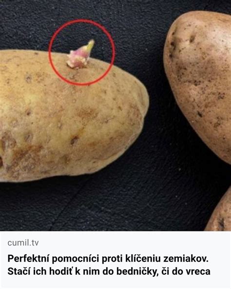 Ilustrácia varných typov zemiakov s ich charakteristikami