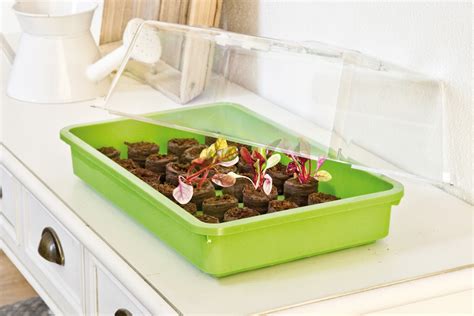 Rôzne typy sadbovačov a výsevné nádoby