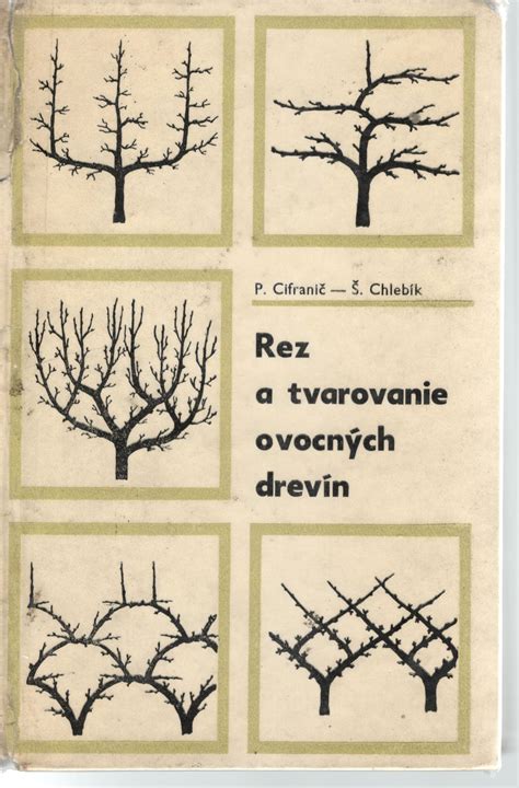 Rez a tvarovanie kríka figovníka