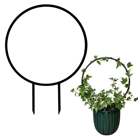 ilustračné foto popínavých zvončekových kvetov