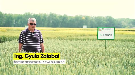 Historická fotografia závodu Osivo Zvolen alebo dobová ilustrácia poľnohospodárstva