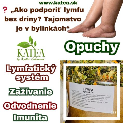 Infografika: Zloženie a účinky chlebovej vody ako hnojiva