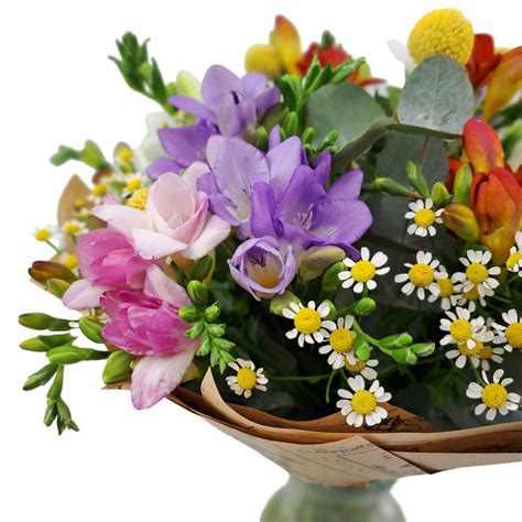 Detail rôznofarebných kvetov frézií