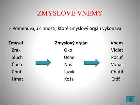 Inforgrafika zobrazujúca zmyslové vnemy pri vnímaní jedla: zrak, čuch, chuť a textúra