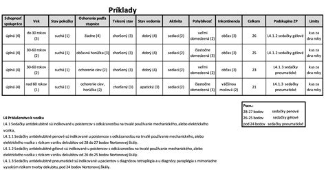 Príklad projektívneho hodnotenia kresby, kde sú označené potenciálne symbolické prvky.