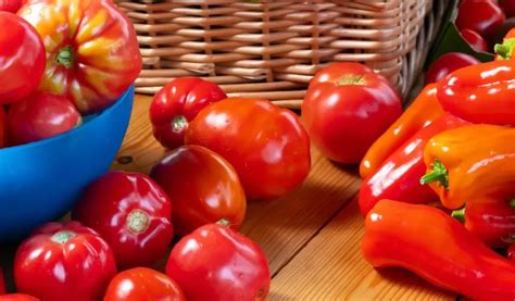 Ilustračná fotografia paradajok a paprík v záhrade