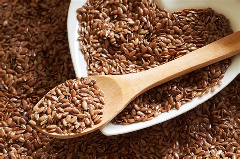 Schéma rastliny ľanu siateho s detailom na semienka a kvety