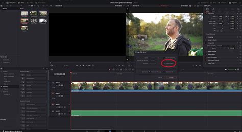 screenshot rozhrania DaVinci Resolve