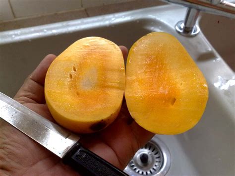 zrelé mango s rozpolenou kôstkou