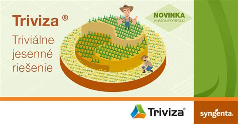 Infografika správneho hnojenia a regulácie burín v poraste pšenice