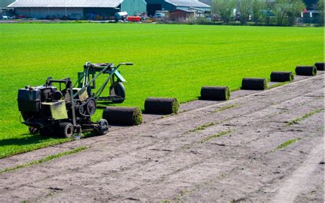 Zelené lány trávnika kam až oko dovidí u producenta