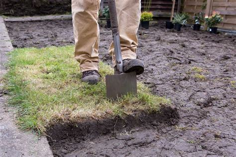 Odstránenie trávnej mačiny zo záhona