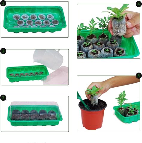 Ukážka rôznych DIY nádob na výsev priesad z recyklovaných materiálov ako noviny, rolky z toaletného papiera a obaly z vajíčok.