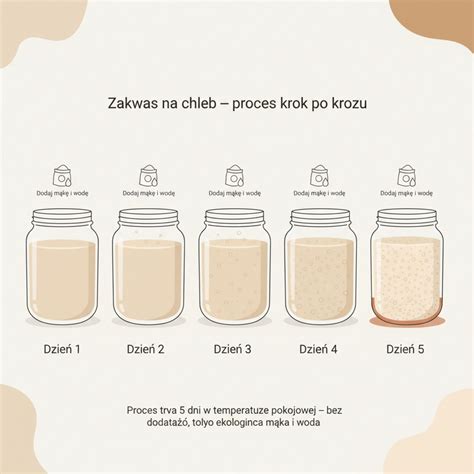 Infografika zobrazujúca proces fermentácie cesnaku.