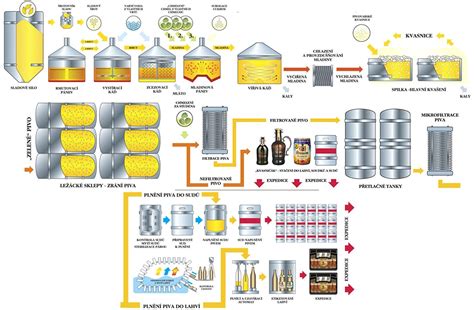 Infografika zobrazujúca proces výroby piva od pestovania jačmeňa po finálny produkt