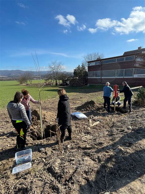 ilustračné foto: skupina dobrovoľníkov pri spoločnej výsadbe stromov v otvorenej krajine