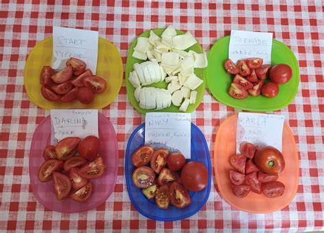 Ilustrácia rôznych druhov a farieb paradajok.