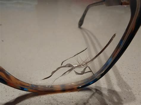 Detailný pohľad na štruktúru a priehľadnosť plastového pohára