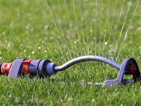 ilustrácia znázorňujúca aplikáciu postreku na trávnik