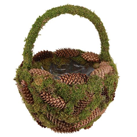 Koláž rôznych štýlov rastlinných terárií - púštne, tropické, s machom