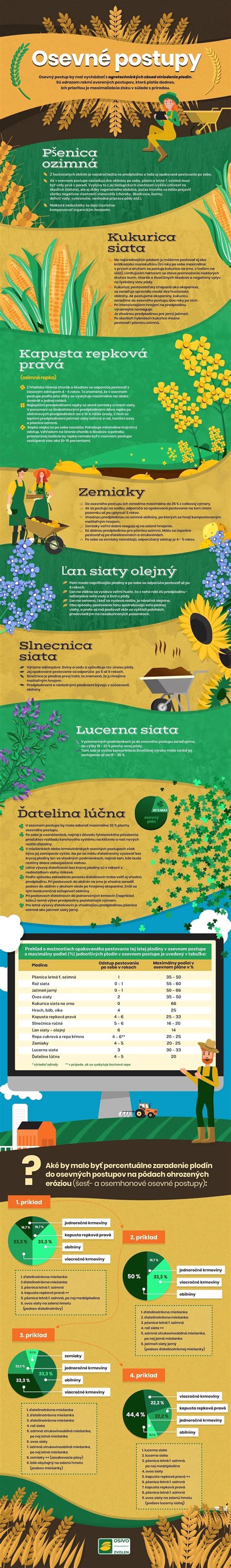 Infografika znázorňujúca správny postup sadenia rastlín