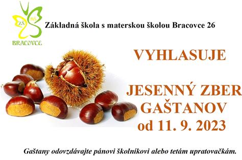 Jesenný zber gaštanov v lese