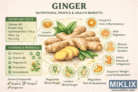 Infografika s nutričnými hodnotami gaštanov