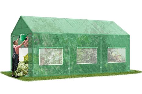 Ilustrácia rôznych druhov zeleniny a ovocia pestovaných vo fóliovníku