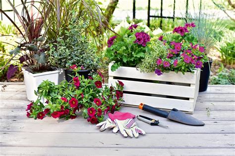 Balkón s pestovateľskými nádobami rajčín