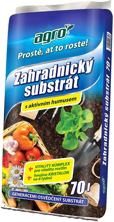 infografika: základné potreby rastliny (svetlo, voda, substrát, drenáž)