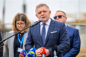 Porovnanie zdravého ihličnanu a ihličnanu s deficitom horčíka (hnednutie).