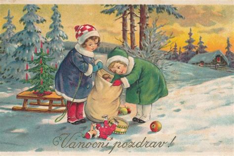 Ilustračná fotografia rôznych druhov moruší