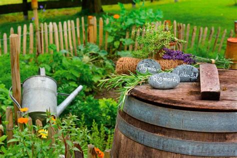 Záhradná scéna s bylinkami a bez viditeľných mravcov