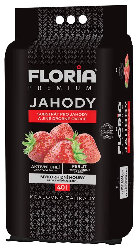 infografika: fázy prípravy pôdy pre jahody