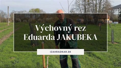 Ilustrácia: Vývoj výchovného rezu čerešne počas prvých troch rokov