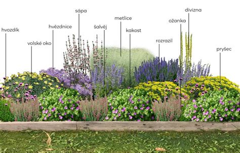 Záhradník polievajúci rastliny a mulčovaný záhon