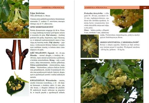 Schéma zberu a identifikácie zrelých plodov lipy