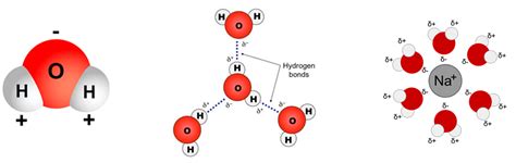 štruktúra molekuly hydroxidu meďnatého
