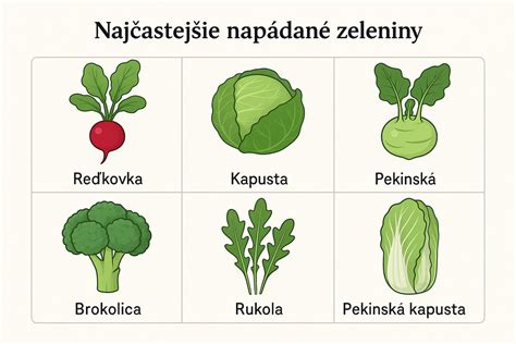 Ilustrácia rastliny reďkovky zakrytej netkanou textíliou