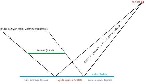 Schematický nákres správneho rezu a opory pre rast chmeľu.