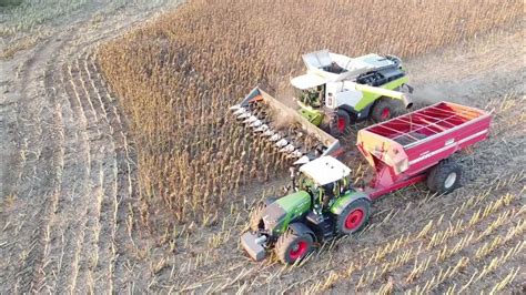 Zber zrelých nažiek slnečnice kombajnom