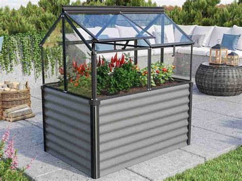 záhon s rozkvitnutou mätou