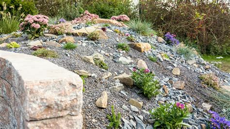skalka s rôznymi zakrpatenými konifermi a kameňmi