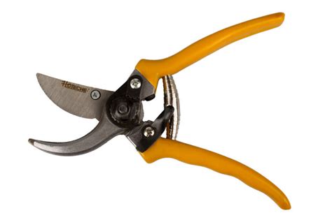 Zobrazenie rôznych typov záhradníckych nožníc vhodných na strihanie černíc