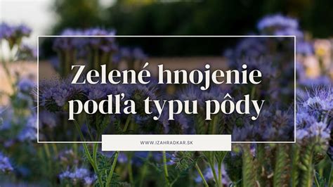 Ilustrácia zeleného hnojenia v záhrade