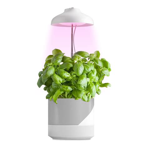 rastliny pod LED lampou v interiéri