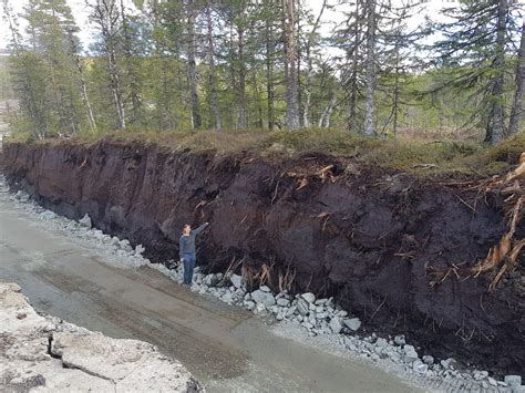 Štruktúra borkovanej rašeliny s viditeľnými vláknami