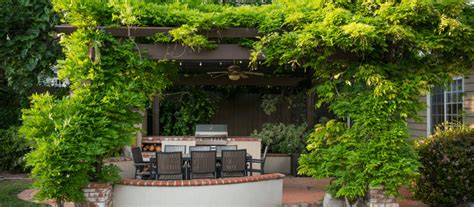 Ilustračná fotografia police s ťahavými rastlinami