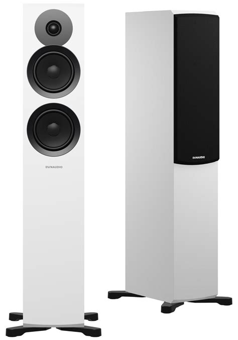 Detail bielych súkvetí pohánkovca