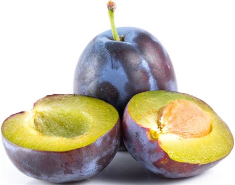 Schéma rozdelenia rodu sliviek: slivky, poloslivky, ringloty a mirabelky